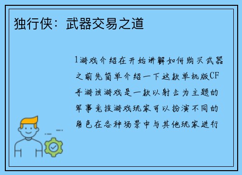 独行侠：武器交易之道